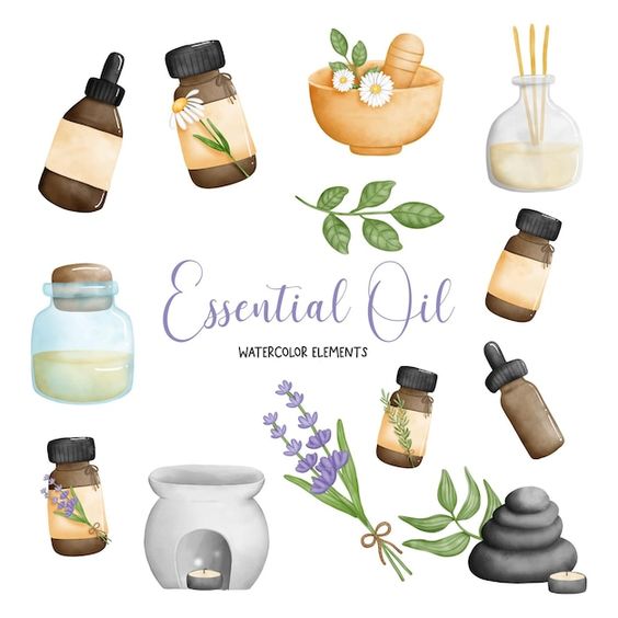 may chang essential oil